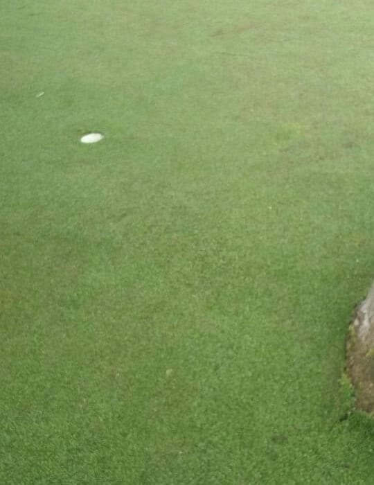 clean artificial lawn 2 cleaned lawn with golf cup for putting